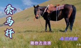 歌曲套马杆原唱视频,草原牧歌中的青春旋律
