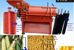 大型玉米剥皮机视频,玉米剥皮机高效作业现场揭秘