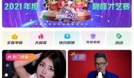 六间房被禁的视频,揭秘网络直播平台的监管与挑战