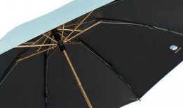 手指伞视频,伞下风情——手指伞视频魅力解析