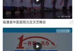 临澧新闻视频直播,实时呈现最新动态，见证家乡发展瞬间