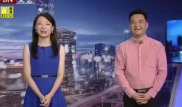 临澧新闻视频直播,实时呈现最新动态，见证家乡发展瞬间