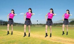 套马杆广场舞视频,活力四射的健身与社交盛宴