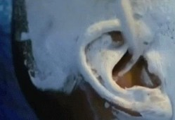 活人头部生蛆视频,头部生蛆的恐怖真相