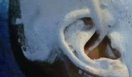 活人头部生蛆视频,头部生蛆的恐怖真相