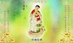 南无阿弥陀佛视频播放,探寻信仰的力量与智慧