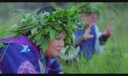 猎犬打猎野鸡视频,一场惊心动魄的狩猎之旅