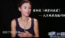 张柏芝采访视频,揭秘她的星途与家庭生活