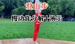 登山步视频,跟随登山步视频探索极限挑战
