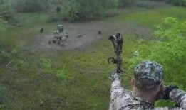 复合弓狩猎视频集锦,复合弓狩猎巅峰对决集锦