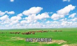 歌曲套马杆原唱视频,草原牧歌中的青春旋律