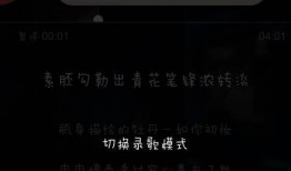 全民k歌怎么录视频,轻松打造个人音乐秀