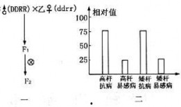 干扰素的使用方法视频