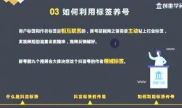 免费噜噜视频,揭秘热门短视频平台的魅力与挑战