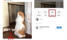 怎么下载ins视频,如何下载Instagram视频教程