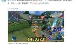 1433223视频,探寻视频背后的故事与意义