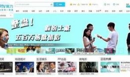 中国测试忠诚度的视频,忠诚与信任的较量