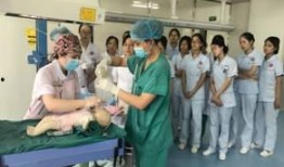 肩难产演练视频,关键时刻的急救技能展示