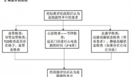 动态心电图怎么操作视频教程,轻松掌握心电监测技巧