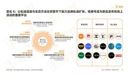 视频号分析,揭秘内容传播与用户互动的奥秘