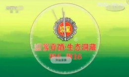 央视频道大全,全面解析中国电视媒体矩阵