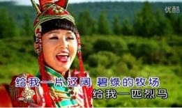 歌曲套马杆原唱视频,草原牧歌中的青春旋律