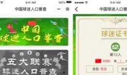 中国测试忠诚度的视频,忠诚与信任的较量