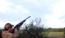 复合弓狩猎视频集锦,复合弓狩猎巅峰对决集锦