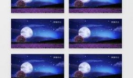 背景视频模板,打造视觉盛宴的幕后功臣