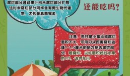 食品安全知识视频