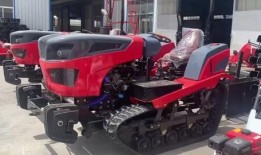 拖拉机舞蹈视频女主播,舞动乡村魅力，网络走红背后的故事