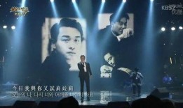 张国荣韩国演唱会视频,跨越时空的视听盛宴