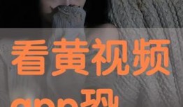 黄视频片,揭秘网络短视频的诱惑与危害