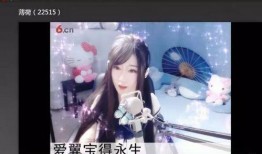 六间房被禁的视频,揭秘网络直播平台的监管与挑战