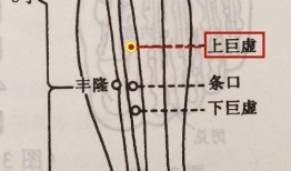 拔火罐视频操作演示,视频演示详解