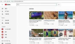 youtube视频链接提取,探索[视频标题]背后的精彩故事与启示