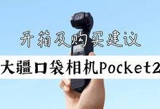 翻包视频是什么意思,隐私边界与网络监督的碰撞