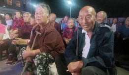 陕州蒲剧团演出视频,传统戏曲艺术的魅力之旅