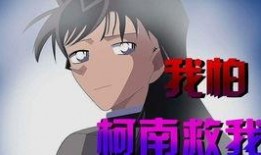 柯南被绑架的视频,揭秘神秘幕后黑手