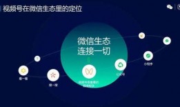 视频号分析,揭秘内容传播与用户互动的奥秘
