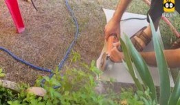 男人边洗澡边撒尿视频,揭秘男性洗澡时撒尿的神秘现象