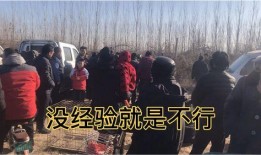 多狗配母狗视频高清,高清视频捕捉温馨瞬间
