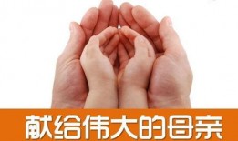 母爱视频感人故事,感人至深的温馨瞬间
