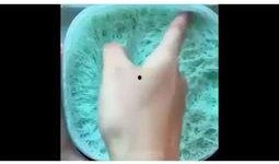 ins异常满足小视频,揭秘小视频生成背后的秘密