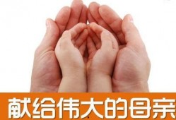 母爱视频感人故事,感人至深的温馨瞬间