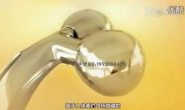 refaface脸部使用视频